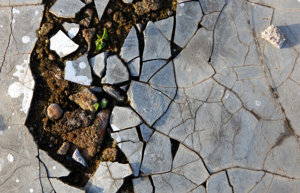 地板破裂或开裂图片下载