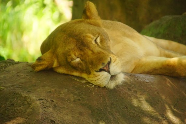 阳光沐浴图片下载
