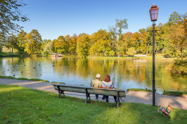 一对快乐的老夫妇在城市公园里图片下载