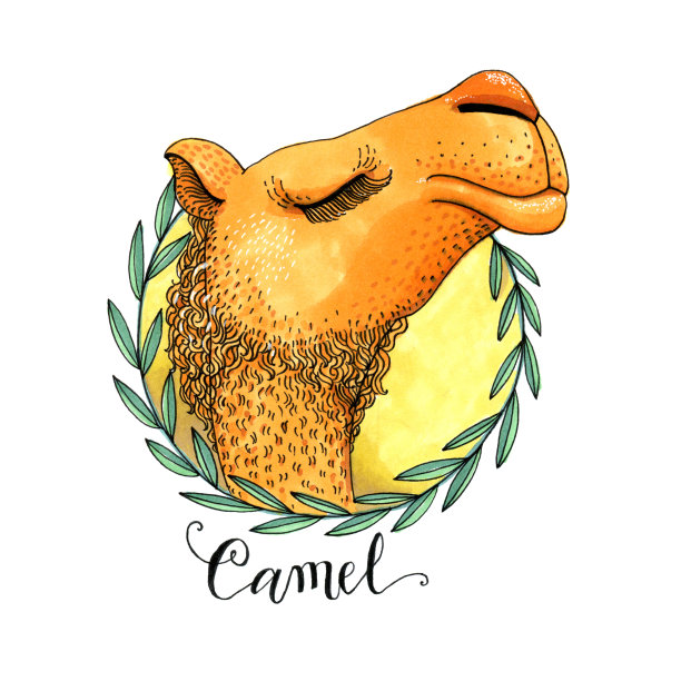 用橄榄叶编成的花环上的彩色骆驼头。孤立在白色背景，手绘插图。涂上标记图片下载