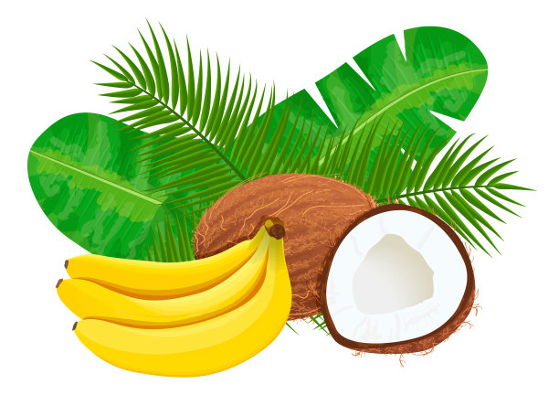 成熟的果汁香蕉和椰子与棕榈叶。矢量插图丛林主题图片下载