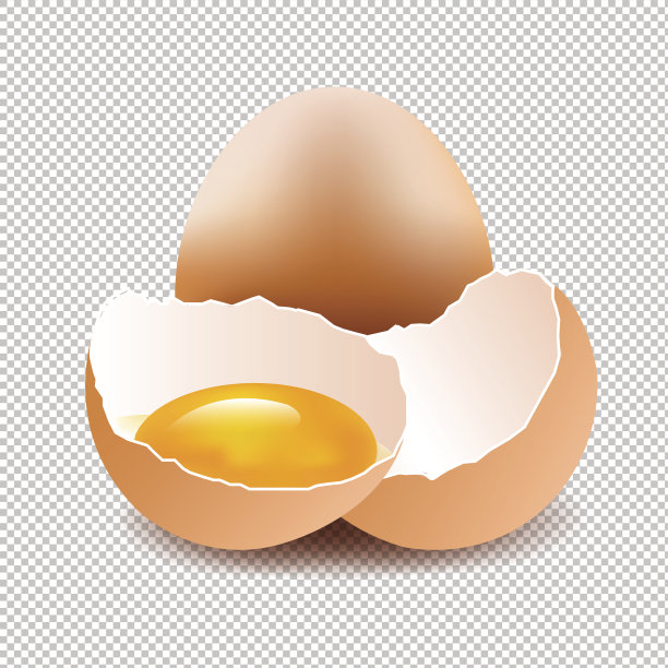 孤立背景的鸡蛋图片下载