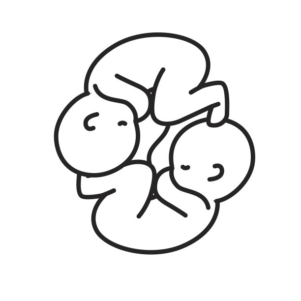 带着脐带的双胞胎图片下载