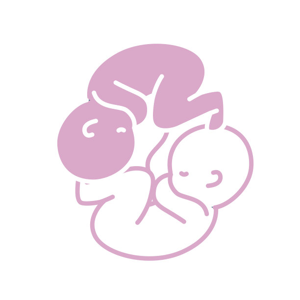 勾画出漂亮婴儿的轮廓，双胞胎带着脐带图片下载