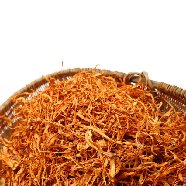 白背后的干蛹虫草素材图片