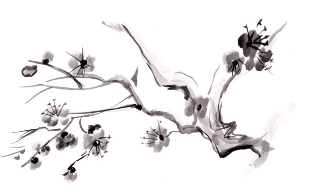 树的分支图片下载