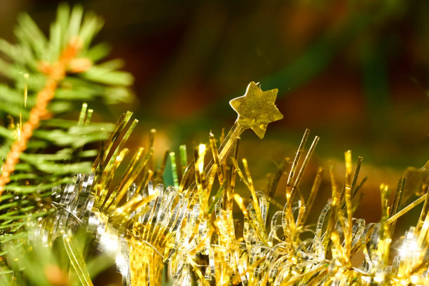 圣诞树在晚上的照片与灯图片下载