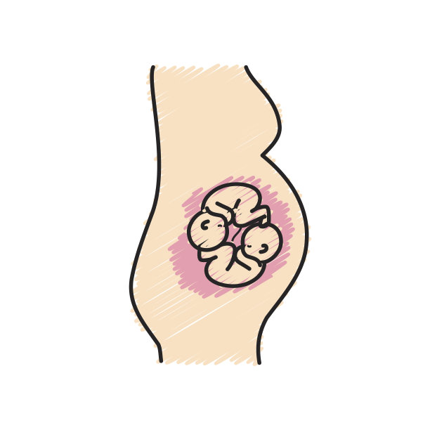 一个女人怀了一对双胞胎宝宝图片下载