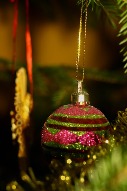 圣诞树在晚上的照片与灯图片下载