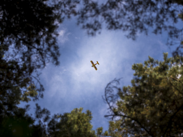 老虎池图片下载