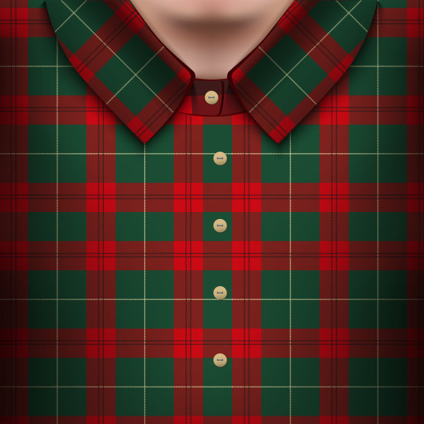 男人身上的格子衬衫图片下载