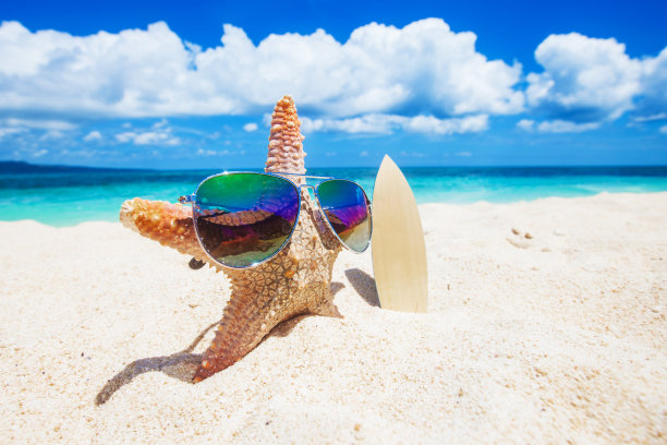 热带海滩上的海星冲浪者图片下载