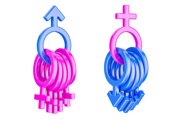 男女两性关系概念。女性和男性的性别符号，3D渲染图片下载