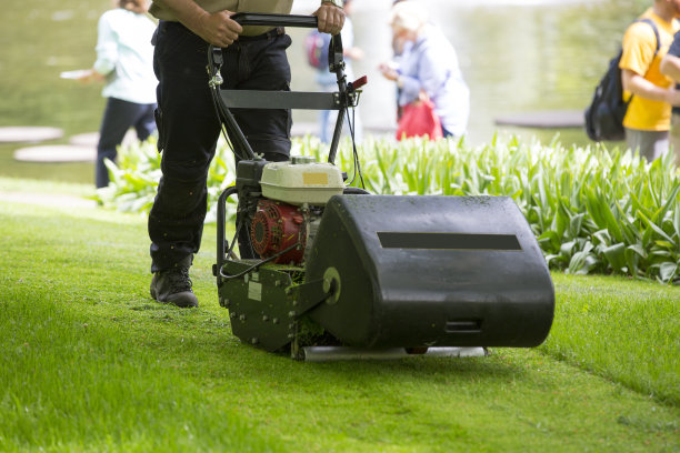 修剪草坪。草坪上的割草机。图片下载