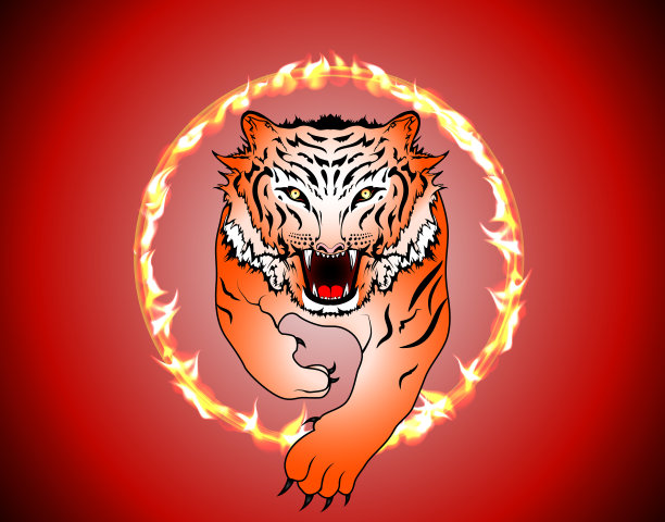 马戏团孟加拉虎跳过火圈图片下载