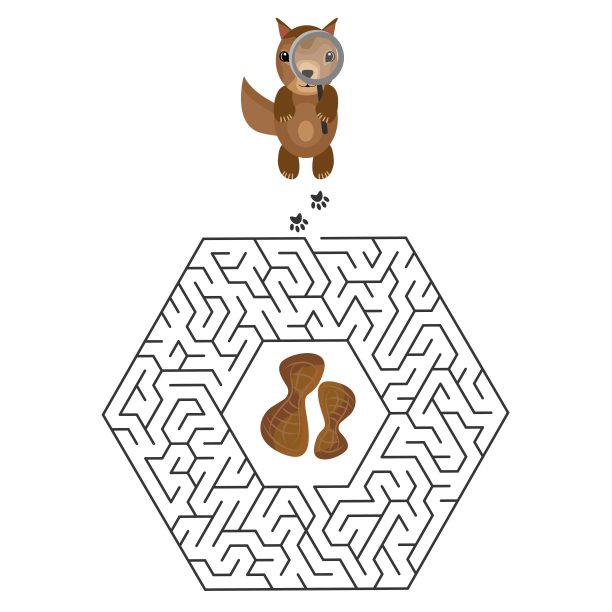 游戏的孩子与花栗鼠和花生图片下载
