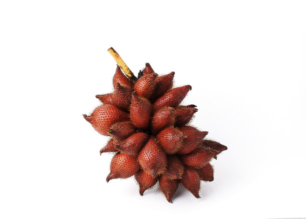 萨拉卡水果孤立图片下载