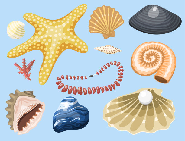 海洋海洋动物和贝壳纪念品卡通矢量插图螺旋热带软体动物贻贝装饰图片下载
