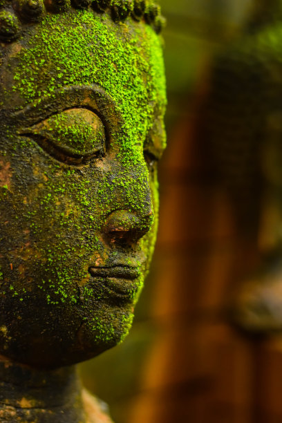 佛头湿漉漉，青苔青翠。图片下载