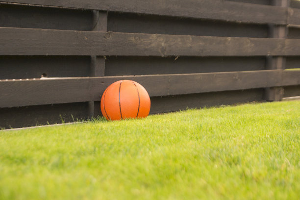 在草地上打篮球到围栏图片下载