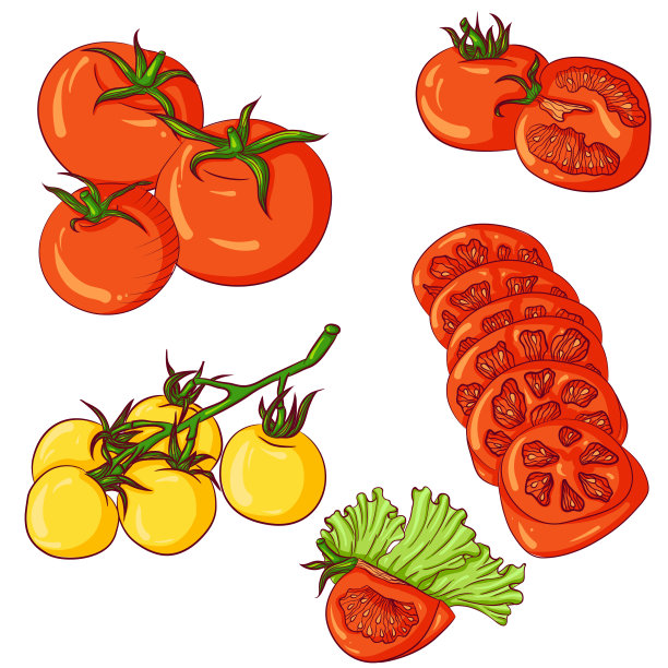 一组西红柿在白色的背景图片下载