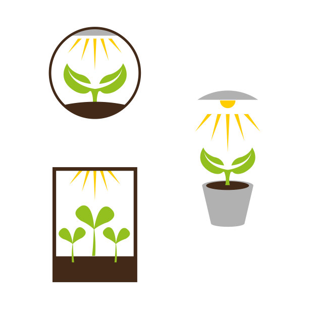 可爱的手绘仙人掌图片下载