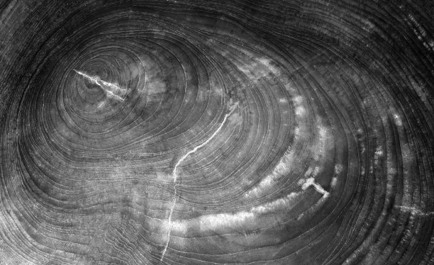 古老的黑木墙图片下载