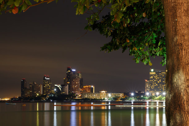 晚上的芭堤雅图片下载