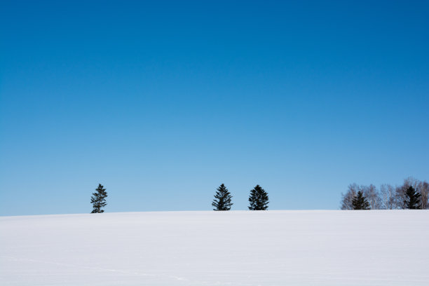 蓝色的天空和雪白的田野图片下载