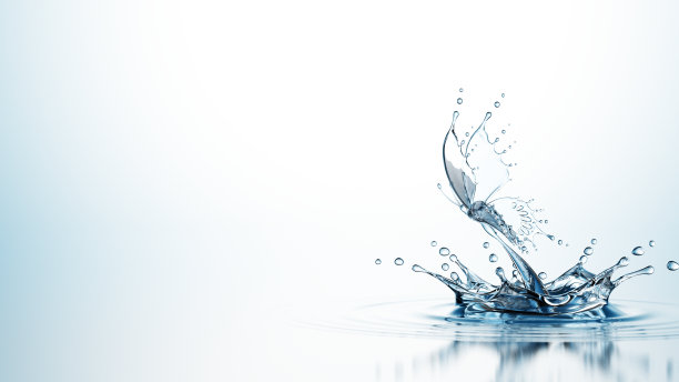 蝴蝶照片素材ID：310818234