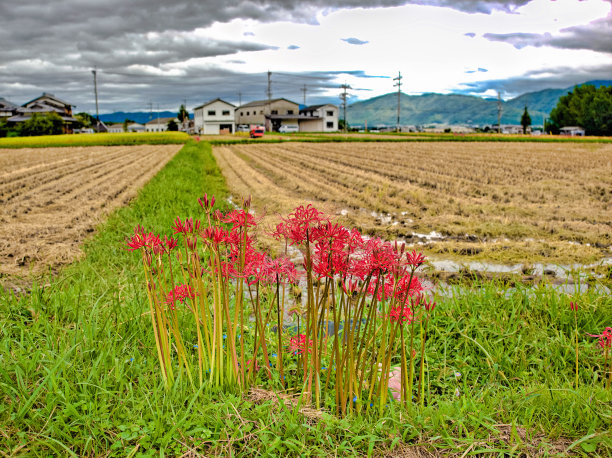 日本scene120图片下载