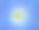牵牛花图片下载