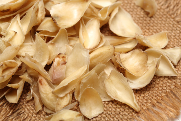 干百合鳞茎，传统中草药孤立背景图片下载