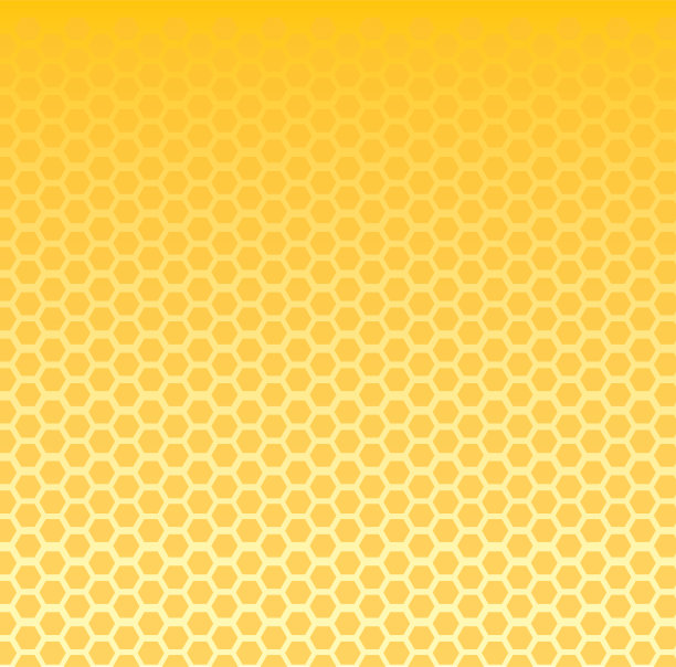 蜂窝素材图片