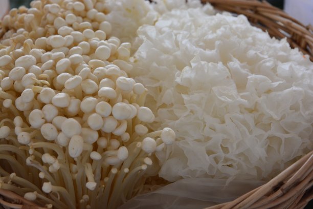 金针菇和银耳素材图片