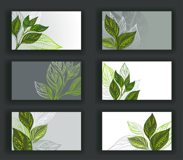 名片配茶素材图片