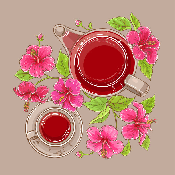 一杯芙蓉茶和茶壶图片下载