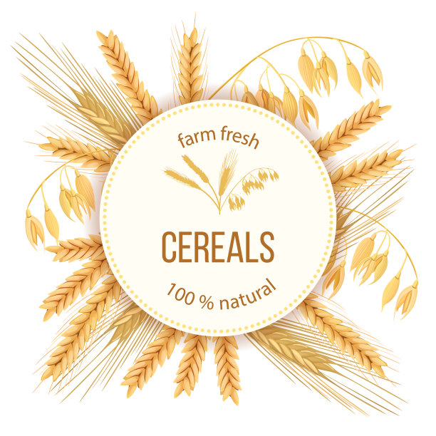 小麦，大麦，燕麦和黑麦。五谷四穗。圆形标签、文本图片下载