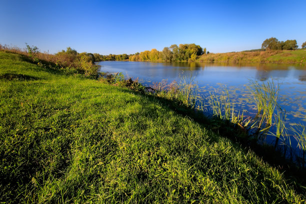 秋天的湖面上有黄色的树木。图片下载
