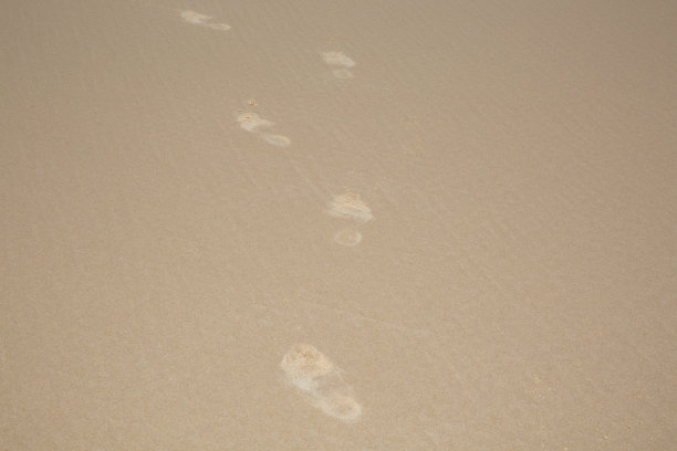 无缝纹理。模式。沙滩上的脚印。沙滩上有鞋的痕迹图片下载