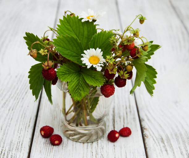 野草莓酒杯图片下载