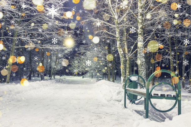 冬日夜晚公园的圣诞节雪景，闪耀的雪花飘落在雪地上素材图片