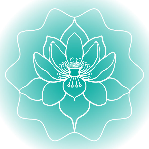 示意图图的花荷花在开花矢量插图图片下载