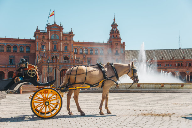 塞维利亚的马车图片下载