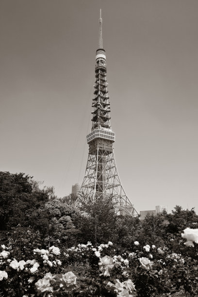 东京塔图片下载
