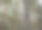 孤独的木巢箱坐落在秋天的森林里的一棵松树上图片下载