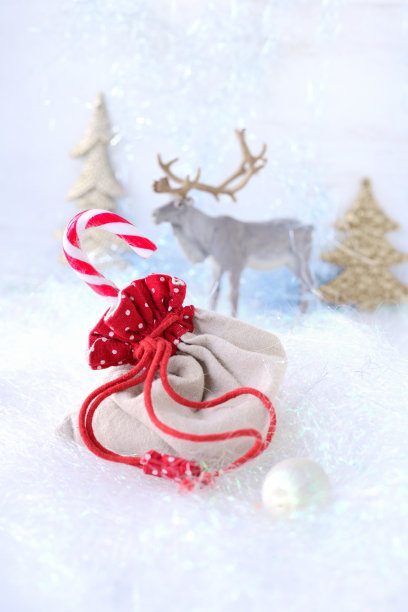 圣诞节组成图片下载