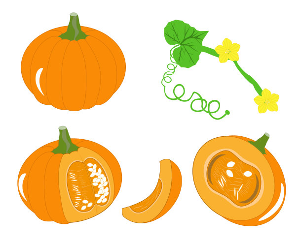南瓜图片下载