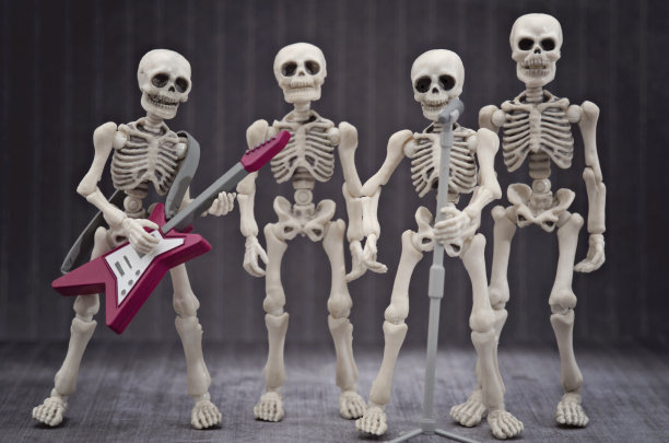 骨架乐队图片下载