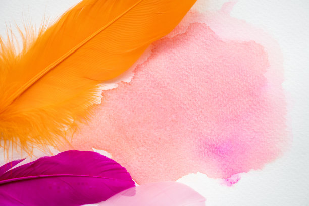 用羽毛在白纸上抽象彩色水彩图片下载